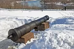 Пушки участники Полтавской битвы в парке Коломенское