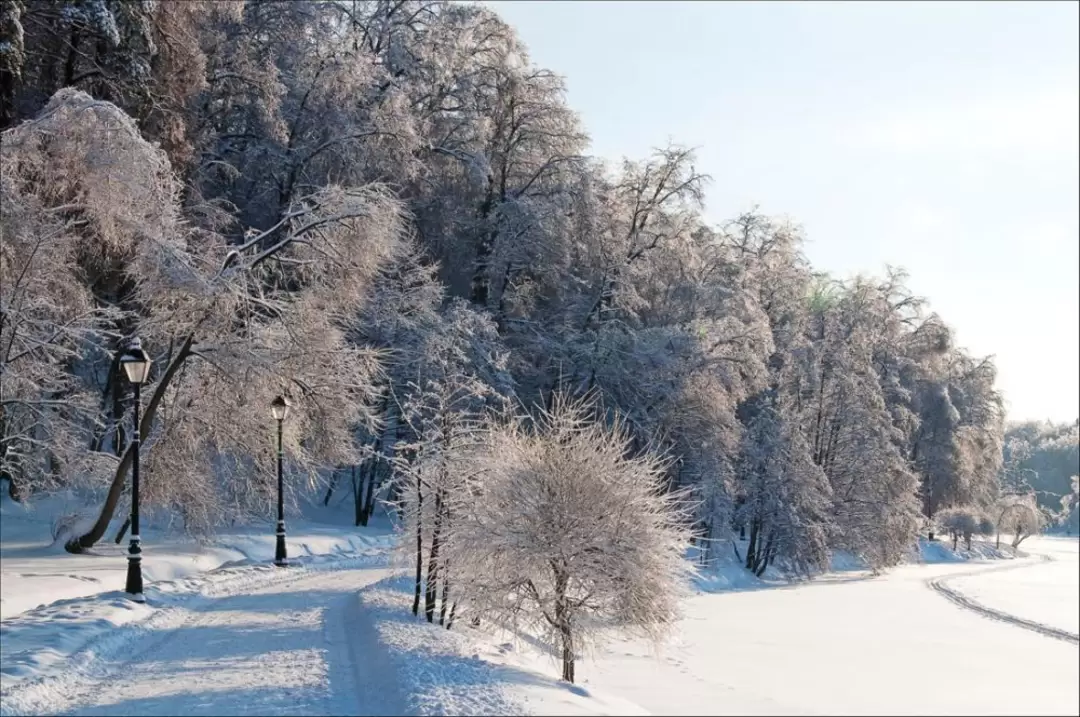 Царицыно, фонари Царицыно, фонари