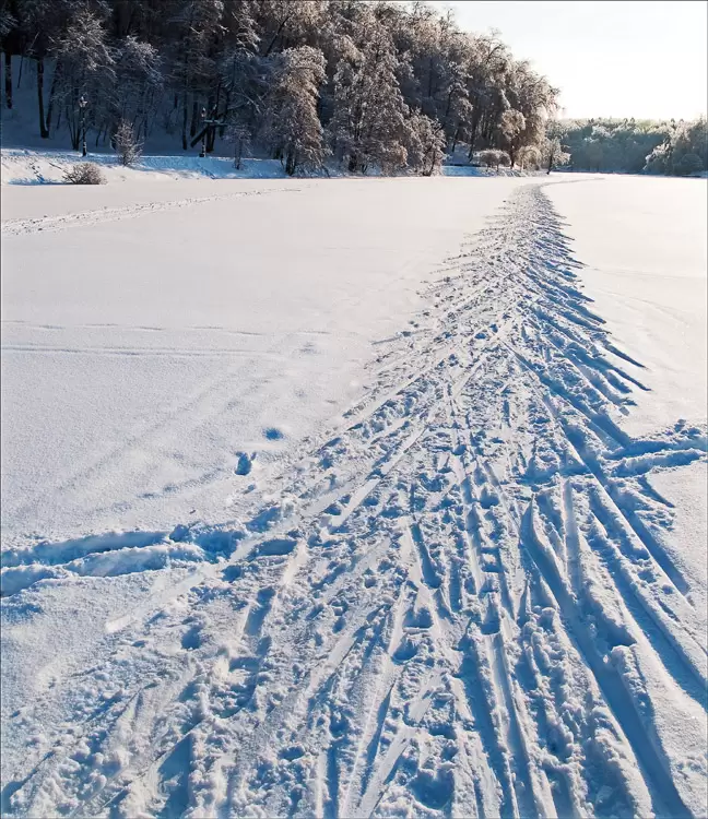 Царицыно, лыжня Царицыно, лыжня