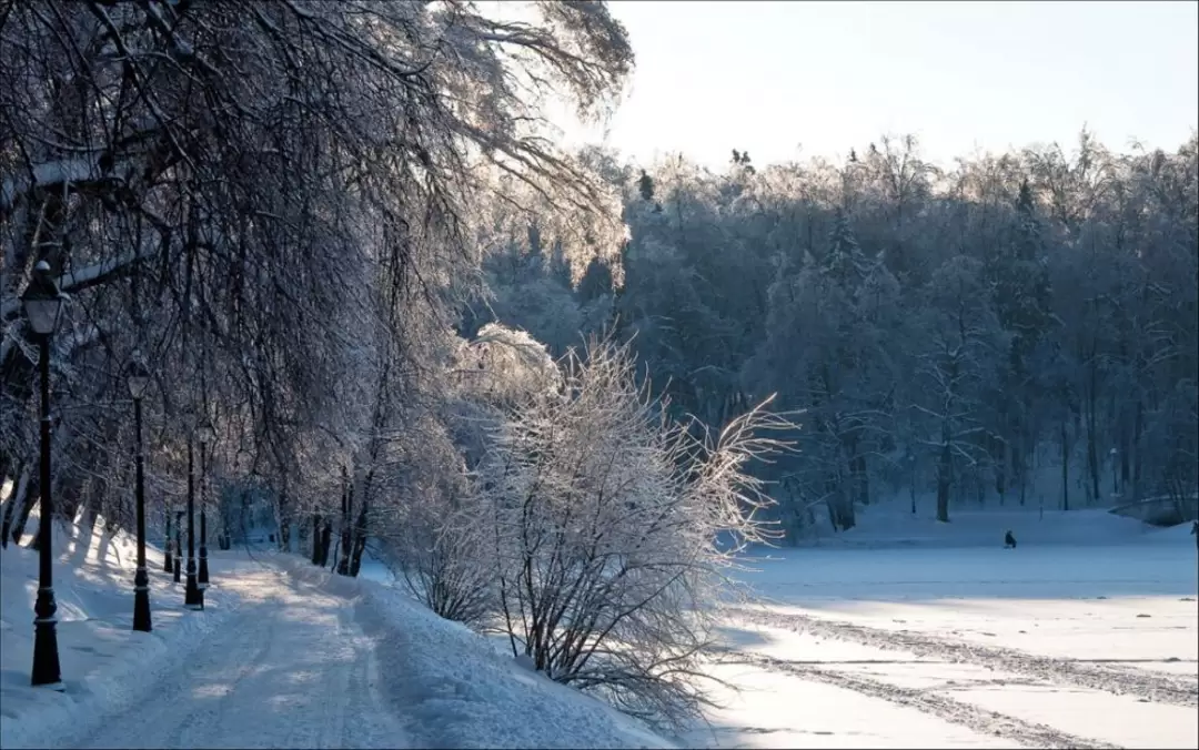 Царицыно, рыбачок Царицыно, рыбачок