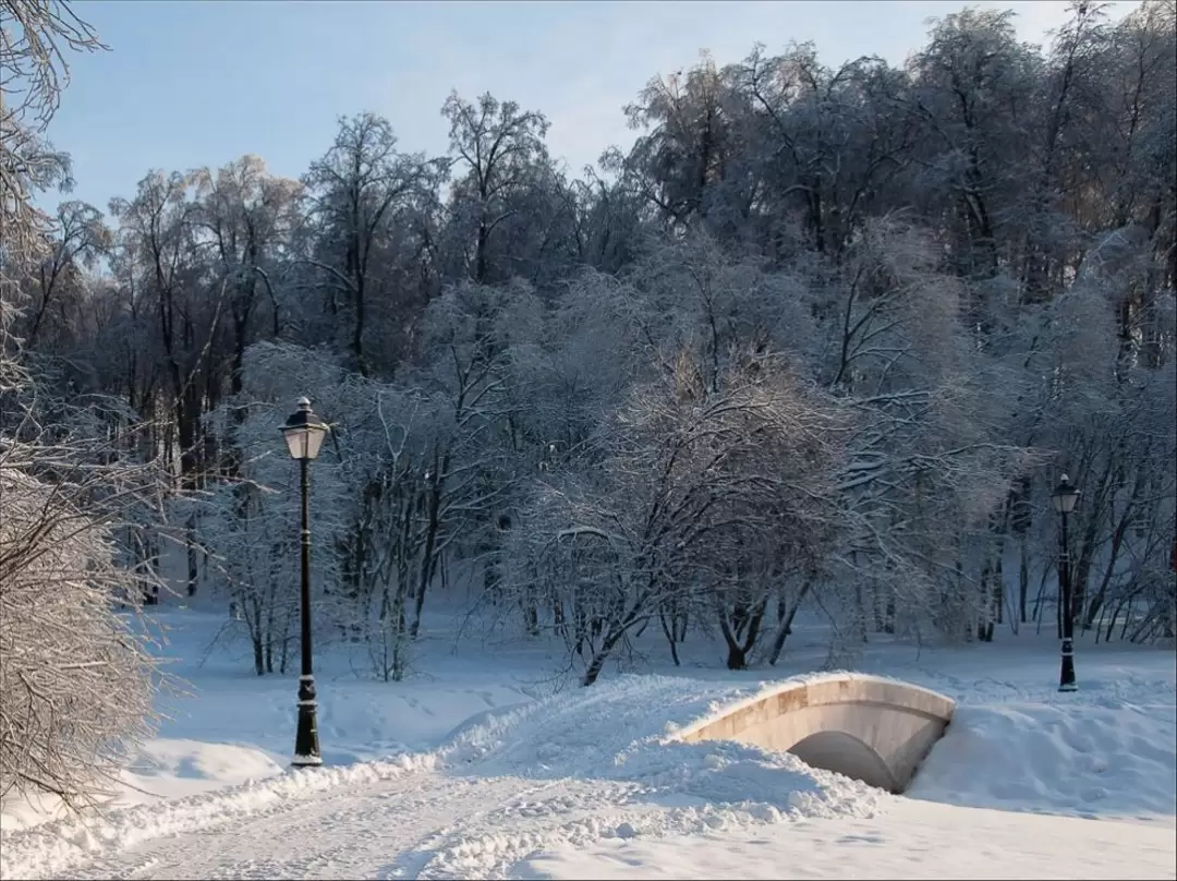 Царицыно, зимний парк Царицыно, зимний парк