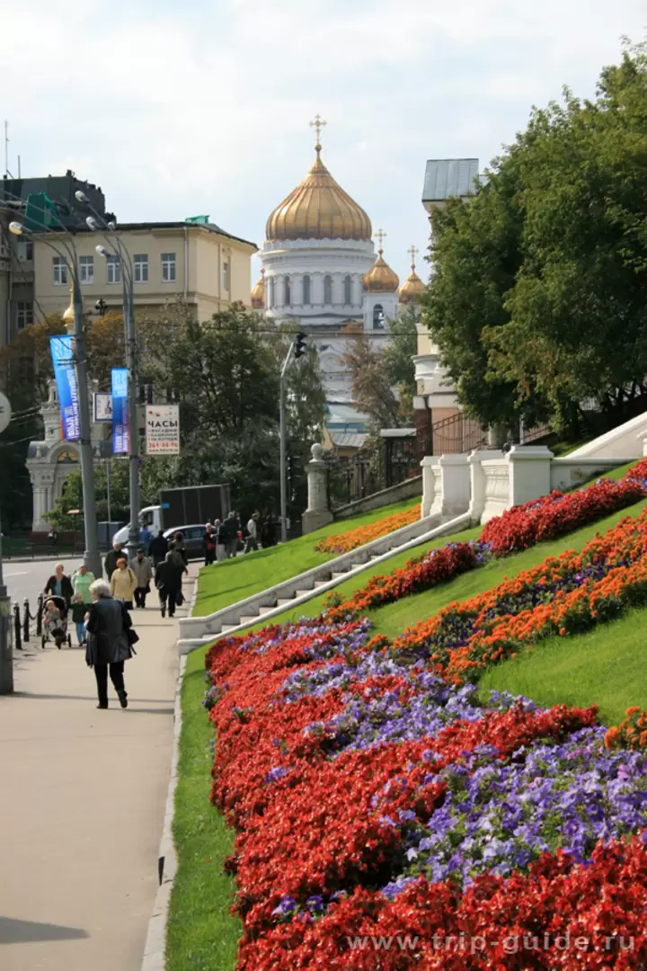 Цветочные газоны в центре Москвы Цветочные газоны в центре Москвы