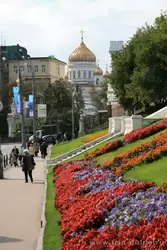 Цветочные газоны в центре Москвы