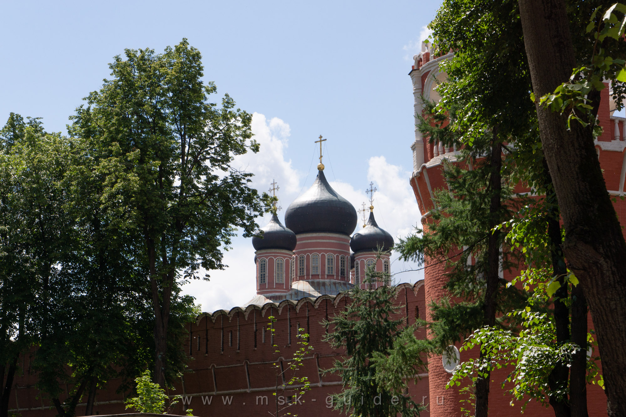 Купола Большого собора, вид из сквера у Донского монастыря