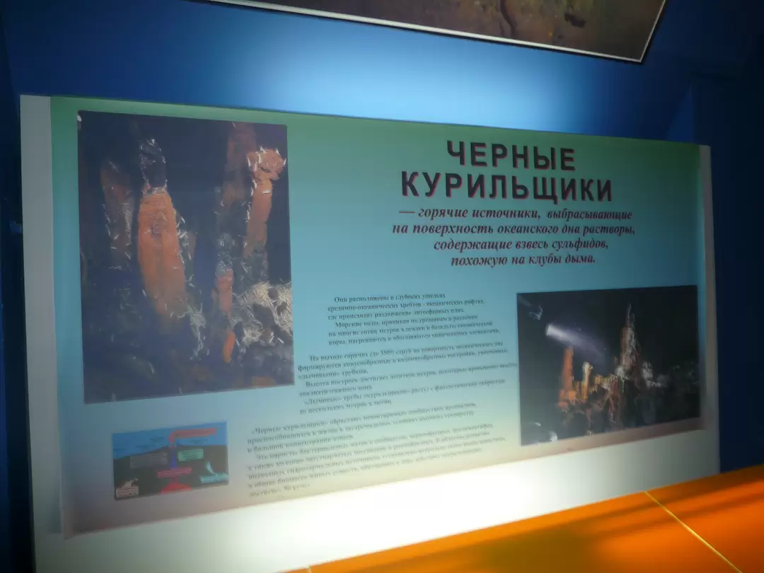 Геологический музей Вернадского, фото 16