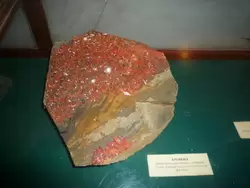 Геологический музей Вернадского, фото 9