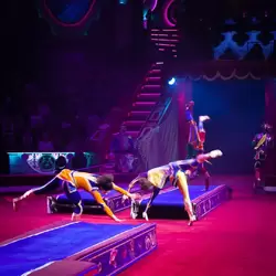 Цирк Никулина на Цветном Бульваре, фото 13