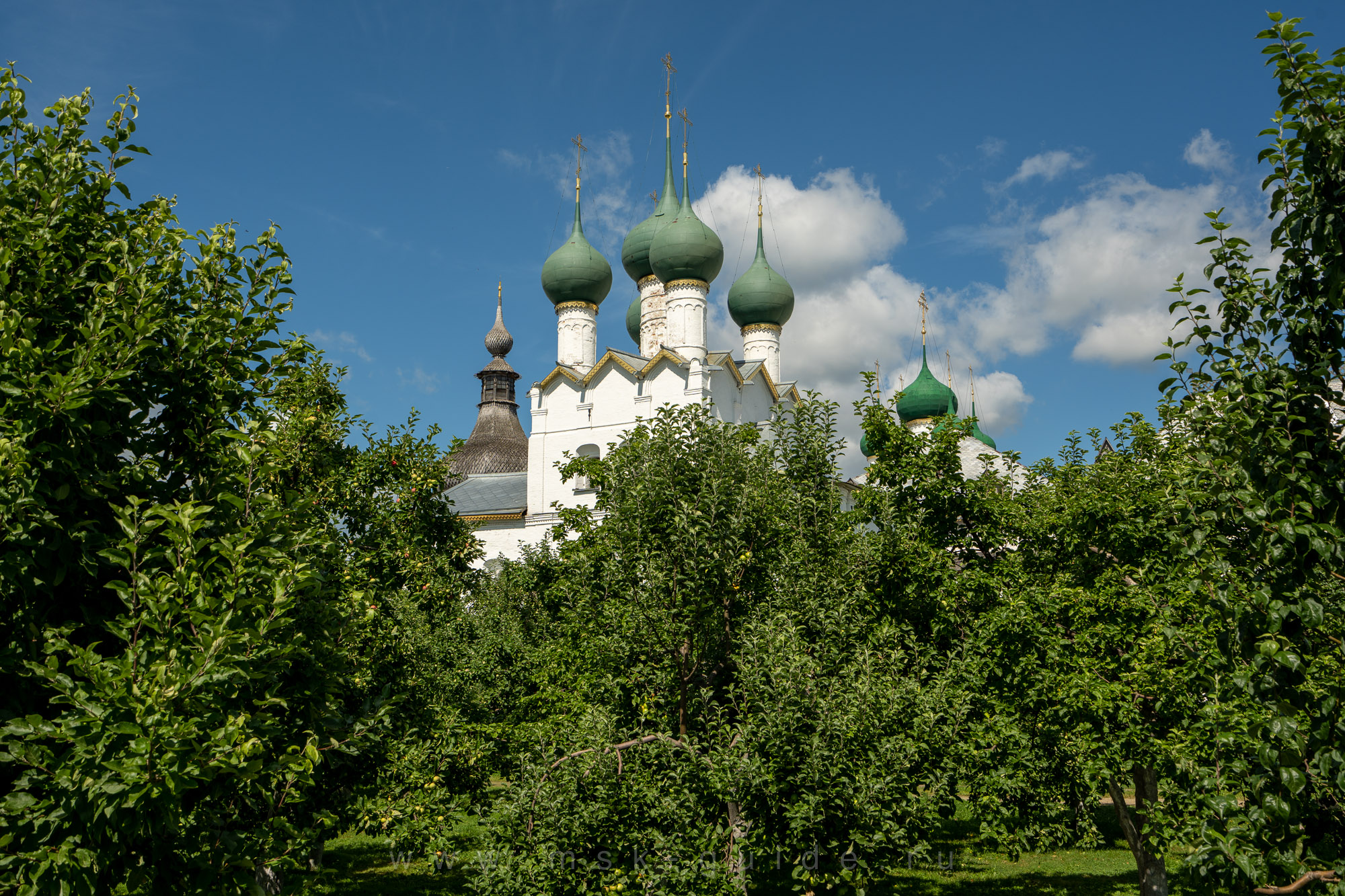 Митрополичий сад Митрополичий сад
