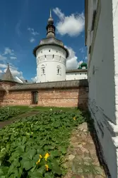 Григорьевская башня, вид из Аптекарского огорода