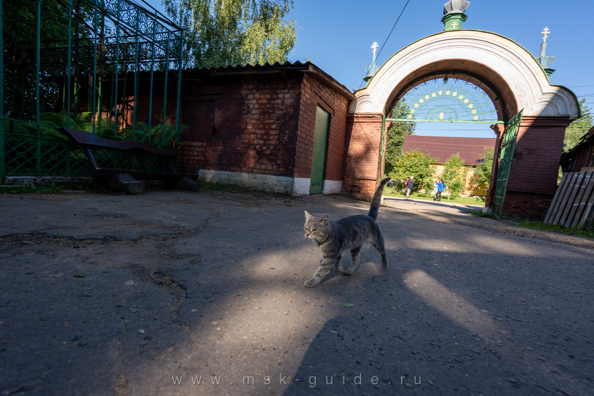 Ворота церкви и кошка Ворота церкви и кошка