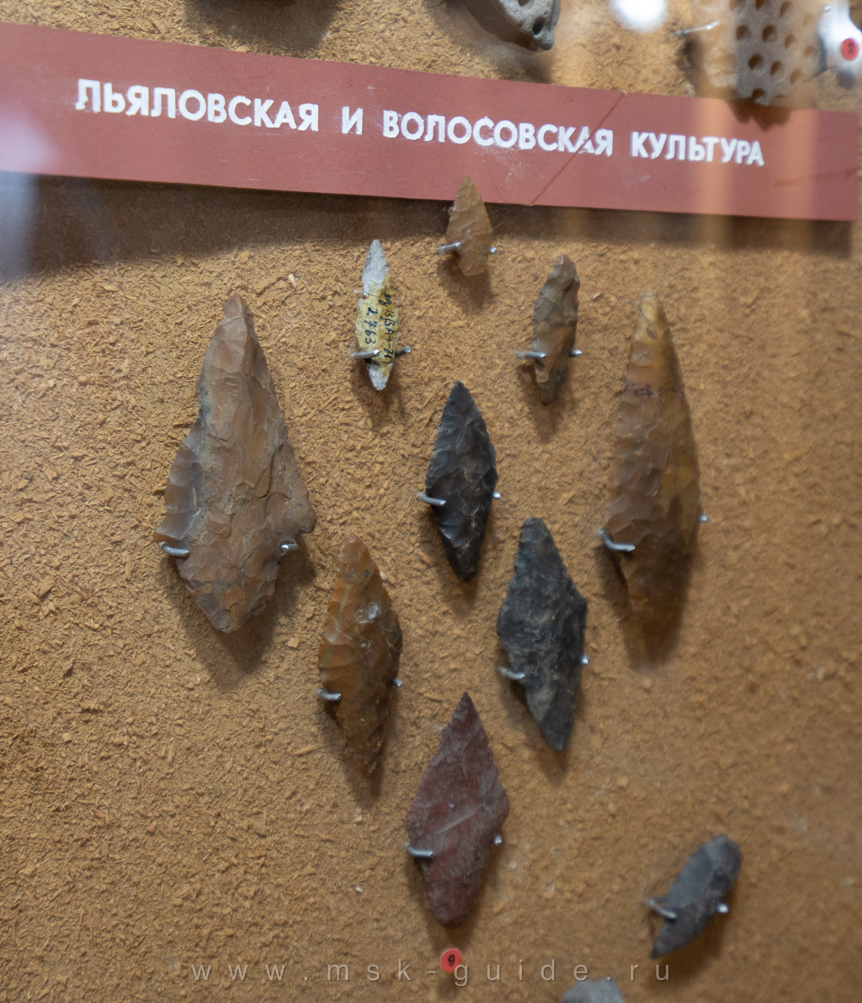 Наконечники дротиков и копий Волосовской культуры Наконечники дротиков и копий Волосовской культуры