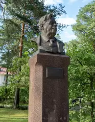 Памятник Николаю Боголюбову в Дубне