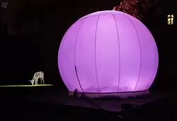 Лань у сферы Бернарда Дюге - фестиваль «Круг Света» в парке Царицыно