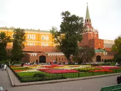 Цветники в Александровском саду
