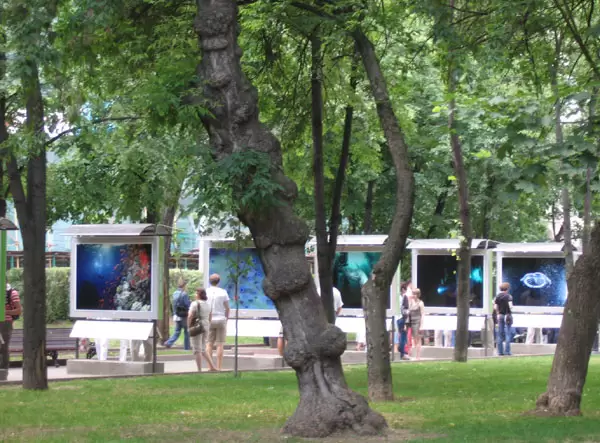 Выставка фотографий на аллеях Выставка фотографий на аллеях
