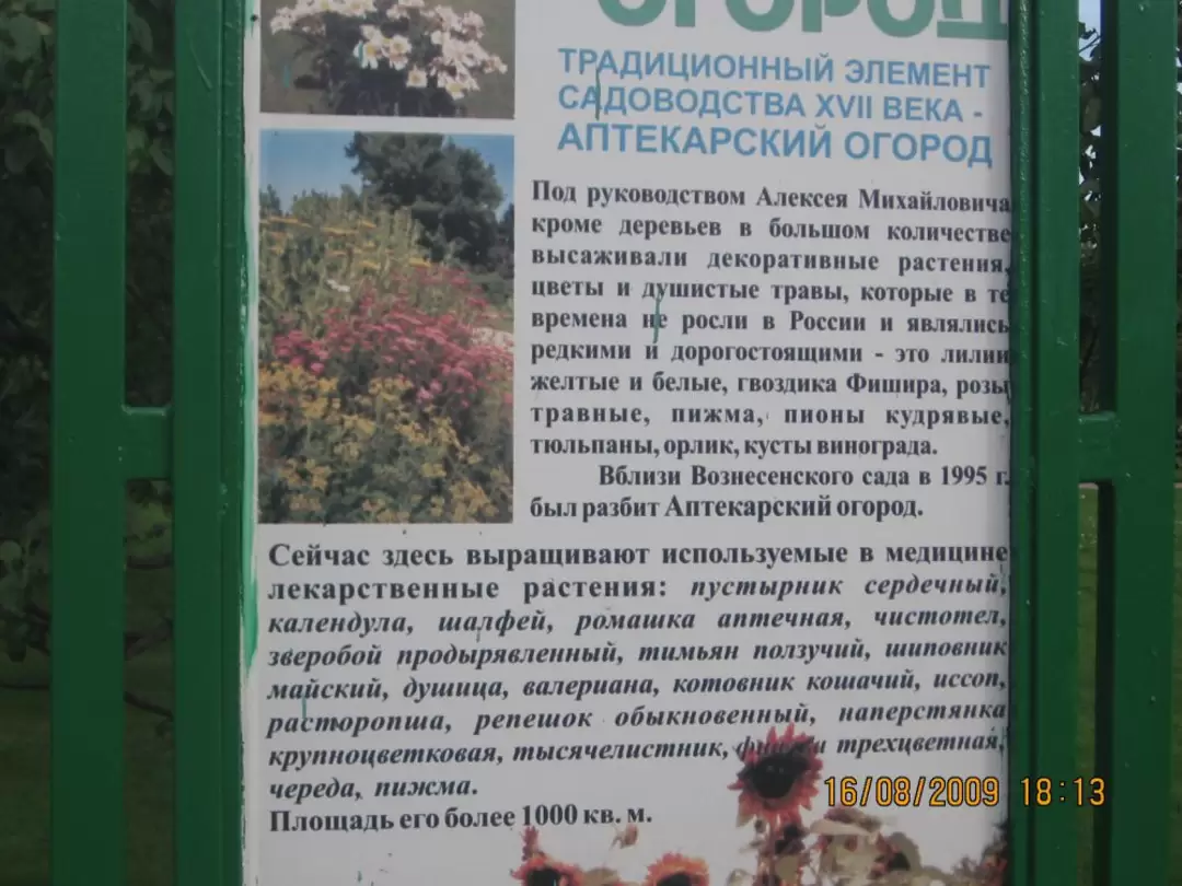Аптекарский огород в парке Коломенское Аптекарский огород в парке Коломенское