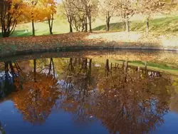 Золотая осень в парке Коломенское